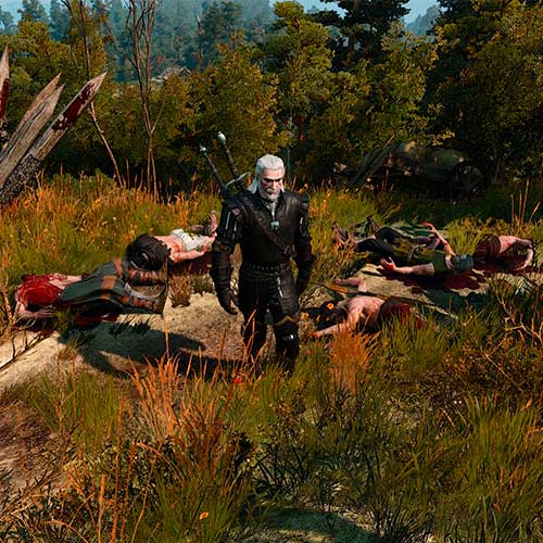 The Witcher 3 Wild Hunt Cd Key